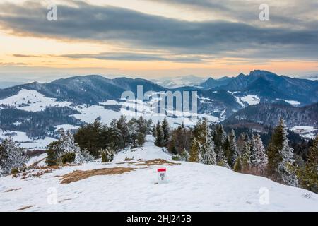 Paysage d'hiver.Vue de Wysokie Wierch aux montagnes Pieniny et au sommet de Trzy Korony.Arbres enneigés illuminés par le soleil couchant. Banque D'Images