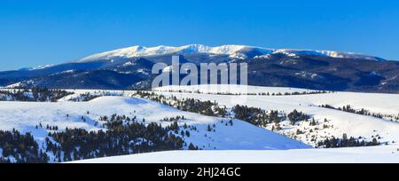 panorama des montagnes et des contreforts saphir en hiver près de philipsburg, montana Banque D'Images