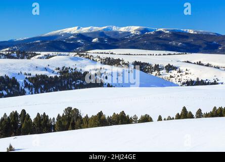 les montagnes et les contreforts de sapphire en hiver près de philipsburg, montana Banque D'Images