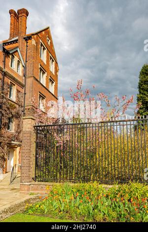 Beaux endroits autour de la célèbre Selwyn College à l'Université de Cambridge, Royaume-Uni Banque D'Images