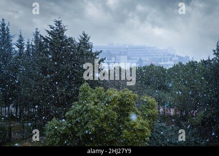 Neige tombant sur des pins verts, ciel gris nuageux en arrière-plan, concept d'hiver à Antalya Turquie. Banque D'Images