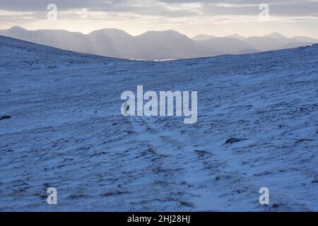 Une seule marchette montée dans la montagne de Leum Uilleim a Corbett, avec des montagnes de Glen COE à distance, Scottish Highlands, Royaume-Uni Banque D'Images