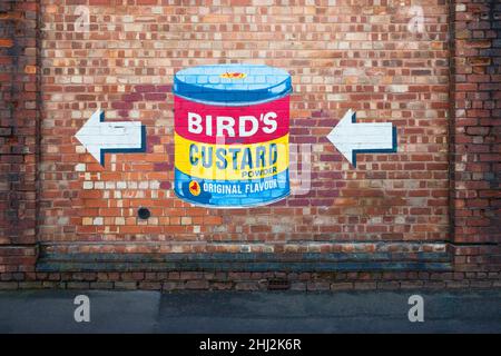 Moule à poudre de Custard d'oiseau peint sur un mur de briques dans la région de Digbeth à Birmingham Banque D'Images