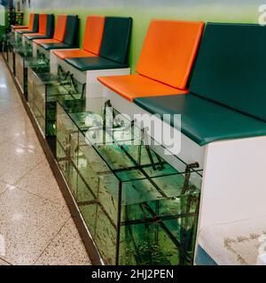 aquariums avec des poissons qui mangent des particules de peau mortes des jambes, rajeunissement de la peau des jambes pour les touristes.Fish foot Therapy ou Spa Removing Banque D'Images