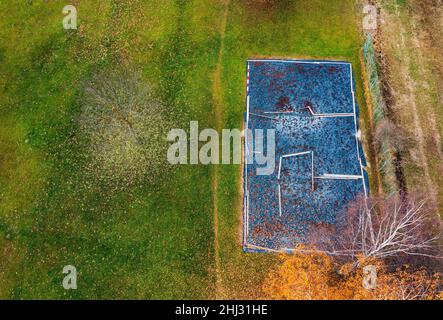 Tir de drone, arbres décidus de couleur automnale avec terrain de Beach-volley couvert, d'en haut, Zell am Moss am Irrsee, Salzkammergut, haute-Autriche Banque D'Images