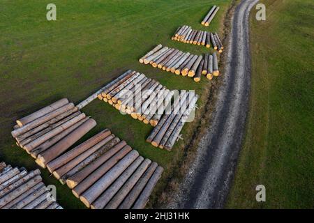 Tir de drone, troncs d'arbres empilés sur le chemin forestier, d'en haut, foresterie, Mondseeland, Salzkammergut,Haute-Autriche, Autriche Banque D'Images