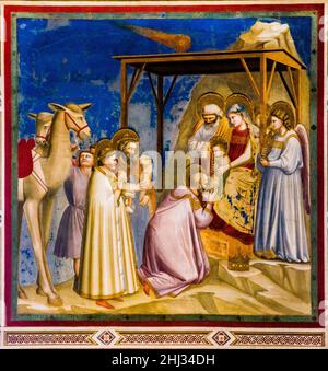 Fresque: Adoration de Jésus par les Magi avec la comète de Halley, Cappella degli Scrovegni, avec le célèbre cycle de fresques de Giotto, pionnier de la Banque D'Images