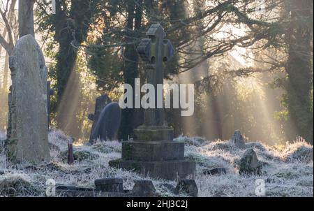 Rayons de lumière dans le vieux cimetière de Southampton Banque D'Images