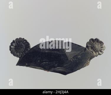 Fragment de couvercle ca.9th–8th siècle av. J.-C. Assyrian ce morceau brisé d'ivoire sculpté était probablement un couvercle pour une petite boîte ronde, appelée pyxis par des chercheurs.Le couvercle est lisse et plat sur le dessus avec une partie d'une dépression circulaire visible au centre et deux rosettes s'étendant des bords.Les rosettes sont représentées avec un motif hachuré au centre et diffèrent les unes des autres par leur nombre de pétales et leur taille relative.Le dessous du couvercle est arrondi et les rosettes sont soutenues par des crêtes arrondies sculptées dans la surface.Une crête centrale fragmentaire semble avoir à l'origine FO Banque D'Images