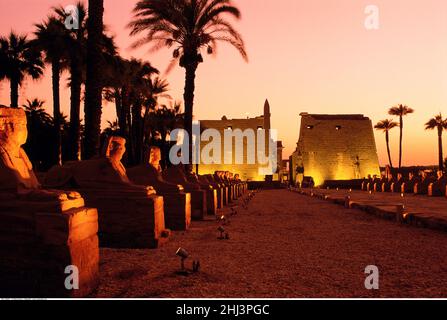 Temple de Louxor au coucher du soleil, Louxor, Égypte Banque D'Images