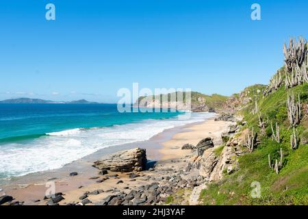 Plage tropicale avec végétation de cactus à Cabo Frio Brésil Banque D'Images