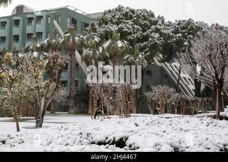 Belek, Antalya, Turquie - 26 janvier 2022 : fortes chutes de neige sur la côte méditerranéenne.Tempête de neige et palmiers blancs.Plages et hôtel vides Banque D'Images