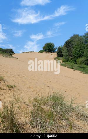 La dune de sable « Big Dipper », l’une des plus hautes dunes d’Europe à 200ft, Merryr Mawr Warren NNR, Glamorgan, pays de Galles, Royaume-Uni, mai. Banque D'Images