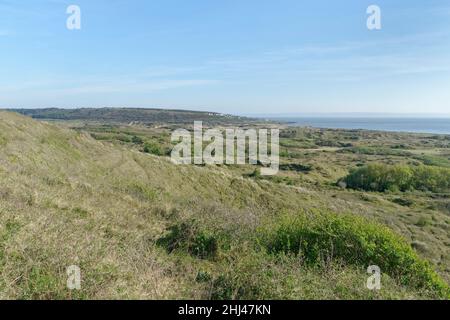 Vue d'ensemble des dunes de sable côtières stables et bien végétalisées de Merthyr Mawr Warren NNR, Glamourgan, pays de Galles, Royaume-Uni, avril. Banque D'Images