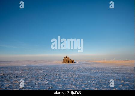 Ancienne grange dans un champ d'hiver en Alberta, Canada avec ciel bleu. Banque D'Images