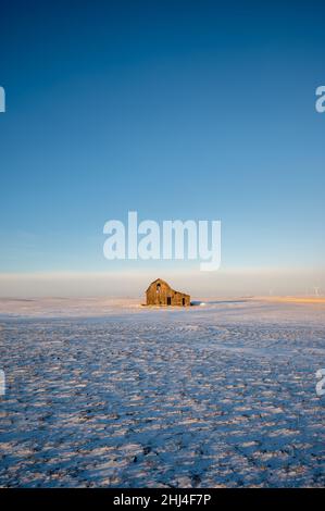 Ancienne grange dans un champ d'hiver en Alberta, Canada avec ciel bleu. Banque D'Images