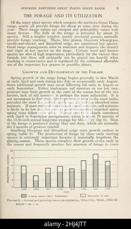 Stockage de la gamme de moutons des grandes Plaines du Nord pour une production élevée soutenue (page 9) Banque D'Images