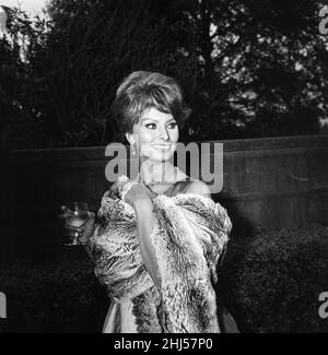 Sophia Loren, qui sera avec Peter Sellers dans la production Dimitri de Grunwald.« The Millionairess » basé sur le jeu de George Bernard Shaw.18th mai 1960. Banque D'Images