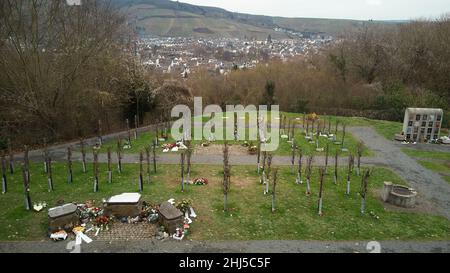 Ahrweiler, Allemagne.24th janvier 2022.Dans le vignoble du cimetière de Bergfriedhof, le défunt peut trouver son dernier lieu de repos parmi les vignes (vue aérienne prise par drone).La culture funéraire est en train de changer, les souhaits et les offres funéraires deviennent de plus en plus individuels.(À dpa «la créativité est en demande: De nouvelles formes d'enterrement sont de plus en plus populaires») Credit: Thomas Frey/dpa/Alamy Live News Banque D'Images