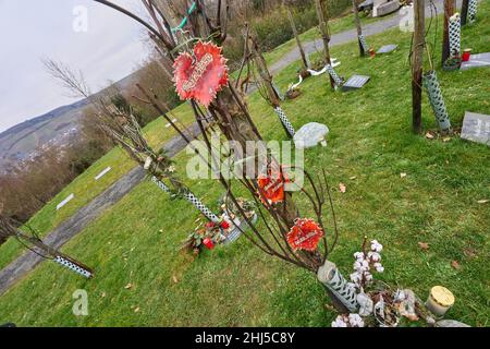 Ahrweiler, Allemagne.24th janvier 2022.Dans le vignoble du cimetière de Bergfriedhof, le défunt peut trouver son dernier lieu de repos parmi les vignes.La culture funéraire est en train de changer, les souhaits et les offres funéraires deviennent de plus en plus individuels.(À dpa «la créativité est en demande: De nouvelles formes d'enterrement sont de plus en plus populaires») Credit: Thomas Frey/dpa/Alamy Live News Banque D'Images