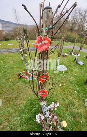 Ahrweiler, Allemagne.24th janvier 2022.Dans le vignoble du cimetière de Bergfriedhof, le défunt peut trouver son dernier lieu de repos parmi les vignes.La culture funéraire est en train de changer, les souhaits et les offres funéraires deviennent de plus en plus individuels.(À dpa «la créativité est en demande: De nouvelles formes d'enterrement sont de plus en plus populaires») Credit: Thomas Frey/dpa/Alamy Live News Banque D'Images