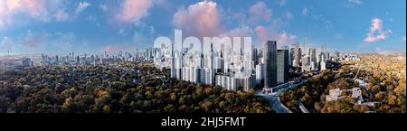 Vue panoramique de Toronto avec des feuilles d'automne entourant le paysage urbain Banque D'Images