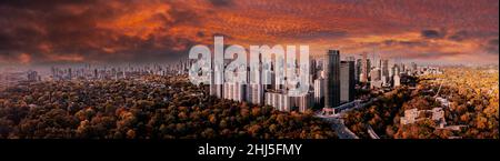 Vue panoramique de Toronto avec des feuilles d'automne entourant le paysage urbain Banque D'Images