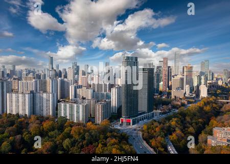 Vue panoramique de Toronto avec feuilles d'automne entourant le paysage urbain Banque D'Images