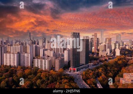 Vue panoramique de Toronto avec feuilles d'automne entourant le paysage urbain Banque D'Images