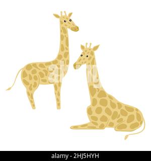 Définir des girafes isolés sur fond blanc.Le joli personnage est assis sur toute sa longueur.Animaux de safari dans des zones de motif.Illustration vectorielle Doodle. Illustration de Vecteur