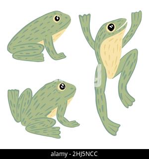 Placez les grenouilles isolées sur fond blanc.Un personnage mignon dans différentes poses, s'assoit et saute.Reptile aquatique tropical amusant.Illustration vectorielle Doodle. Illustration de Vecteur