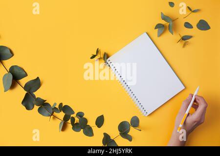 Feuilles d'eucalyptus et carnet, la main d'une femme écrit avec un stylo.Arrière-plan jaune, espace de texte, espace de copie.Pose à plat. Banque D'Images