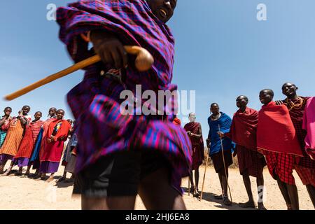 PARC NATIONAL D'AMBOSELI - 17 SEPTEMBRE 2018 : jeune homme de Maasai dansant et sautant Banque D'Images