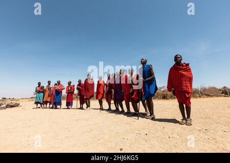 PARC NATIONAL D'AMBOSELI - 17 SEPTEMBRE 2018 : les guerriers Masai dansant les sauts traditionnels comme cérémonie culturelle Banque D'Images