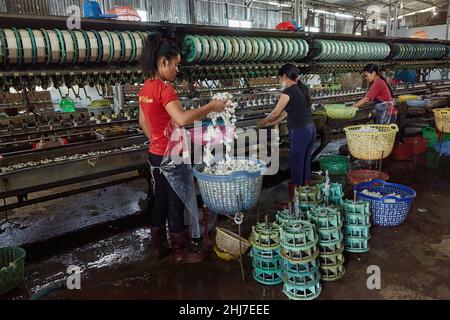 Petite usine de soie autour de Da Lat au Vietnam. Banque D'Images