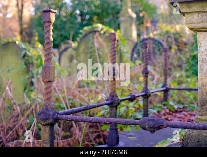 Cimetière général de Sheffield.Les chemins bordés d'arbres filent à travers un patchwork surcultivé de pierres tombales et de fer rouillé Banque D'Images