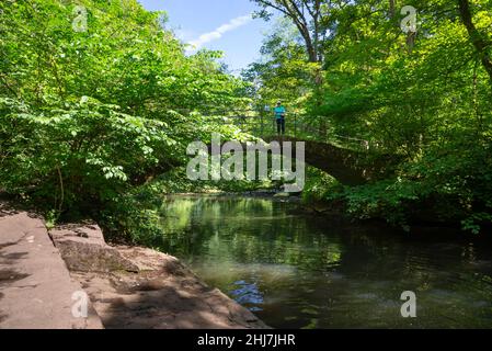 'Pont romain' au-dessus de la rivière Goyt près de Marple, Stockport, Greater Manchester, Angleterre.Une femme mûre qui profite de la vue depuis le pont. Banque D'Images