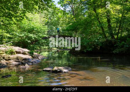 'Pont romain' au-dessus de la rivière Goyt près de Marple, Stockport, Greater Manchester, Angleterre.Une femme mûre qui profite de la vue depuis le pont. Banque D'Images