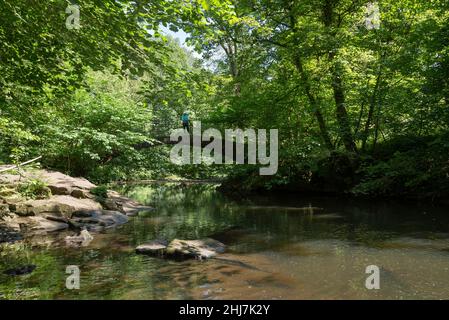 'Pont romain' au-dessus de la rivière Goyt près de Marple, Stockport, Greater Manchester, Angleterre.Une femme mûre qui profite de la vue depuis le pont. Banque D'Images