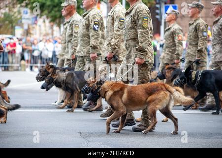 Ukraine, Kiev - 18 août 2020: Gardes-frontières avec chiens de berger.L'armée à la parade.Un soldat avec un chien de garde.Chien de service berger dans le service de l'état.Les soldats marchent. Banque D'Images