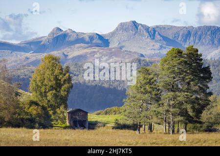 Vue sur Wise Een Tarn, en direction de l'ouest vers Langdale Fells Banque D'Images