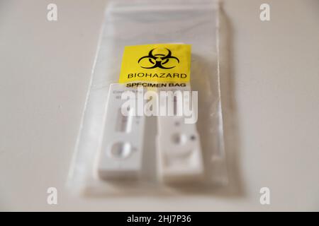 Deux tests rapides négatifs de l'antigène covid-19 observés le 27 janvier 2022 dans un sac en plastique transparent portant la lecture d'un sac d'échantillons Biohazard.(Photo par Alexander Pohl/Sipa USA) Banque D'Images