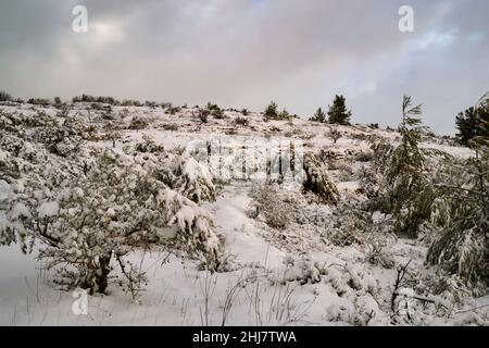 Neige recouvrant les montagnes de la Judée, près de Jérusalem, Israël, à l'aube. Banque D'Images