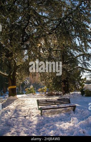 Banc couvert de neige dans le parc du centre-ville de Piazza dei Martiri, dans la ville italienne du nord-est de Belluno, région de la Vénétie.Décembre Banque D'Images