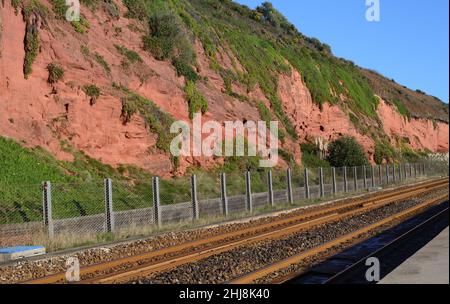 Falaises de grès rouge et filets de chute de roche le long de la ligne de chemin de fer côtière à Dawlish, dans le sud du Devon. Banque D'Images