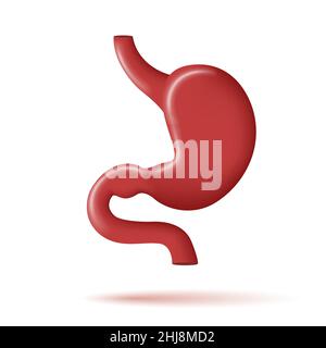 Icône estomac 3D, illustration d'organes humains sains Illustration de Vecteur