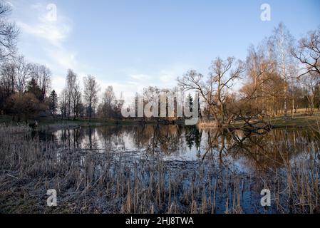 Ancienne maison en bois au bord de la forêt près du lac au printemps.Village de pêcheurs.Extérieur traditionnel de style soviétique ou russe Banque D'Images