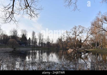 Ancienne maison en bois au bord de la forêt près du lac au printemps.Village de pêcheurs.Extérieur traditionnel de style soviétique ou russe Banque D'Images