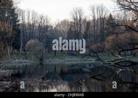 Ancienne maison en bois au bord de la forêt près du lac au printemps.Village de pêcheurs.Extérieur traditionnel de style soviétique ou russe Banque D'Images