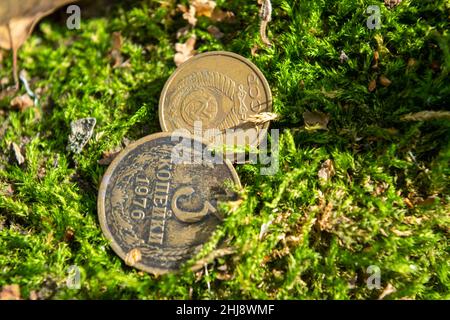 Vieilles pièces de monnaie dans la forêt sur la mousse verte Banque D'Images